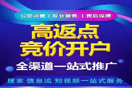 百度竞价运营的挑战与机遇：成功案例探讨